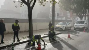 Luis Filipe Menezes ordonne le démantèlement de la piste cyclable à Gaia. Travaux en cours.