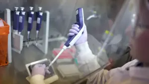 Macao interdit l'importation de viande en provenance de Porto en raison de la grippe aviaire.