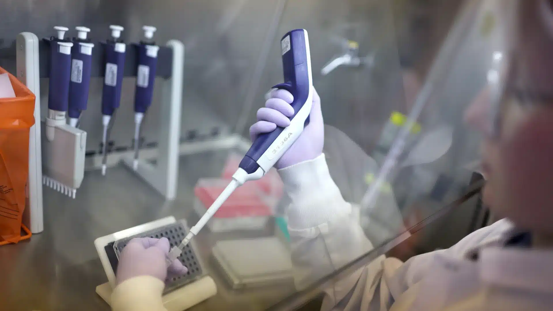 Macao interdit l'importation de viande en provenance de Porto en raison de la grippe aviaire.