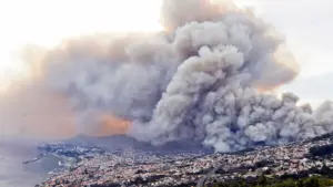 Madère a signalé 261 incendies ruraux sans victimes ni dommages en 2025.