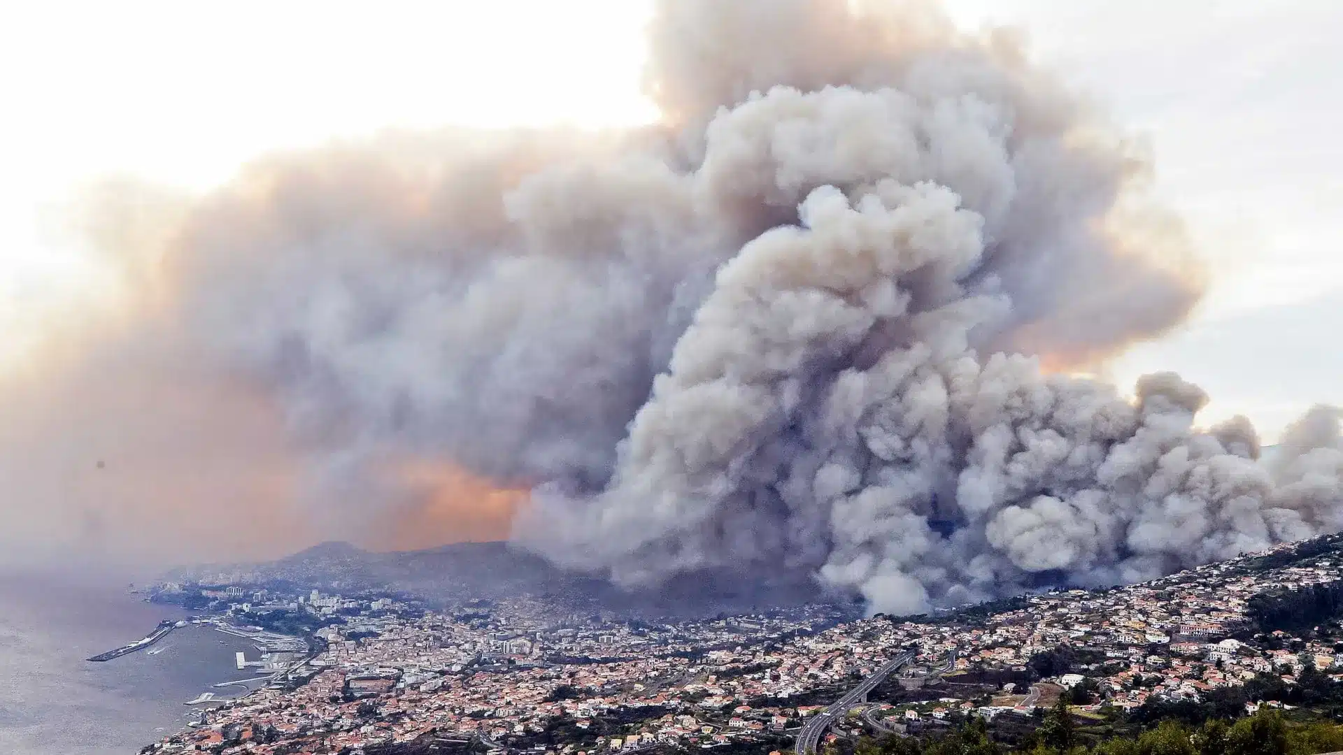 Madère a signalé 261 incendies ruraux sans victimes ni dommages en 2025.
