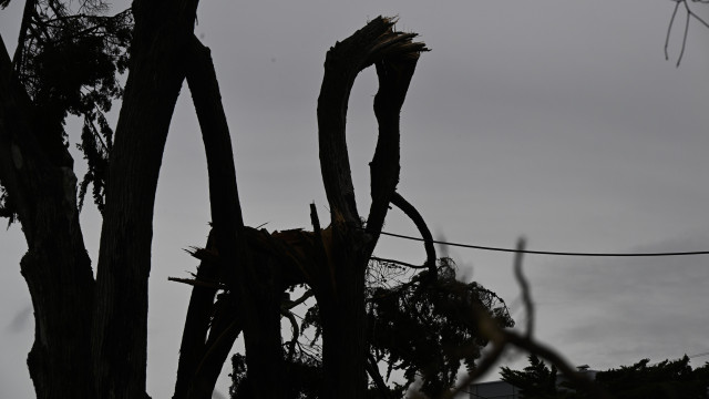 Phénomène au camping d'Albufeira