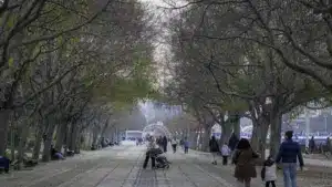 Mauvais temps : sept mille clients d'E-Redes encore sans électricité à 15h00