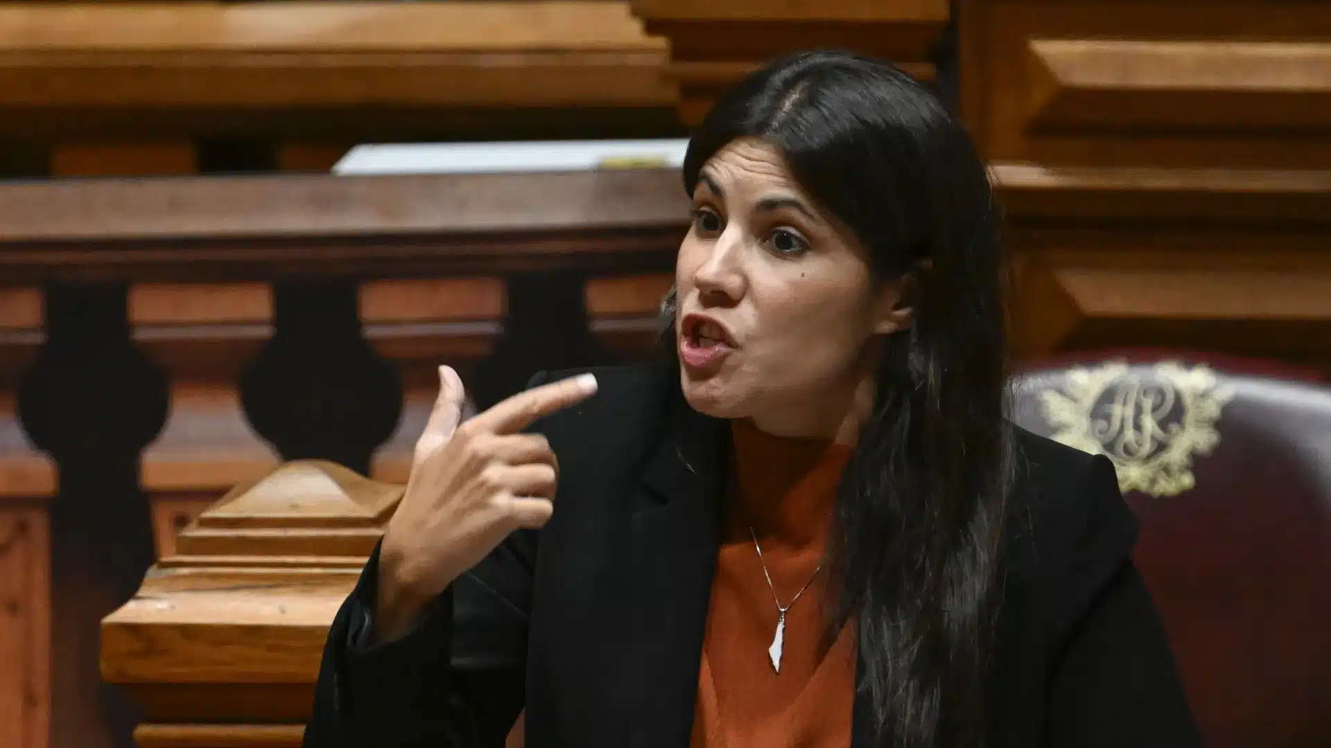 "Ne pas retourner" Mariana Mortágua La pétition est un exemple de désinformation