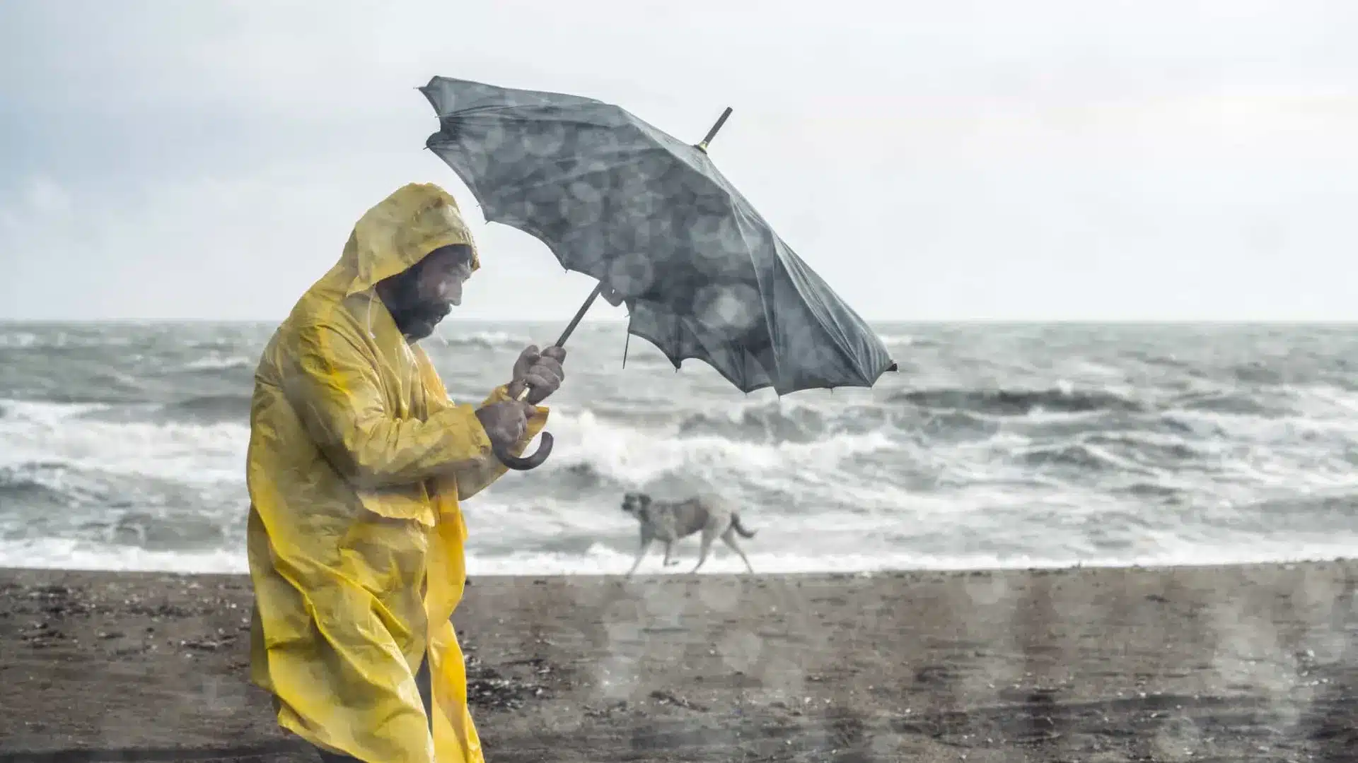 Pluie, vent et même grêle. Que va apporter la dépression Claudia jeudi.