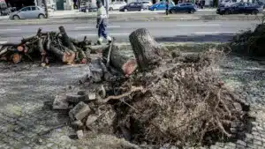 Plus de mille occurrences jusqu'à 18h00, la majorité à Lisbonne et dans la vallée du Tage.