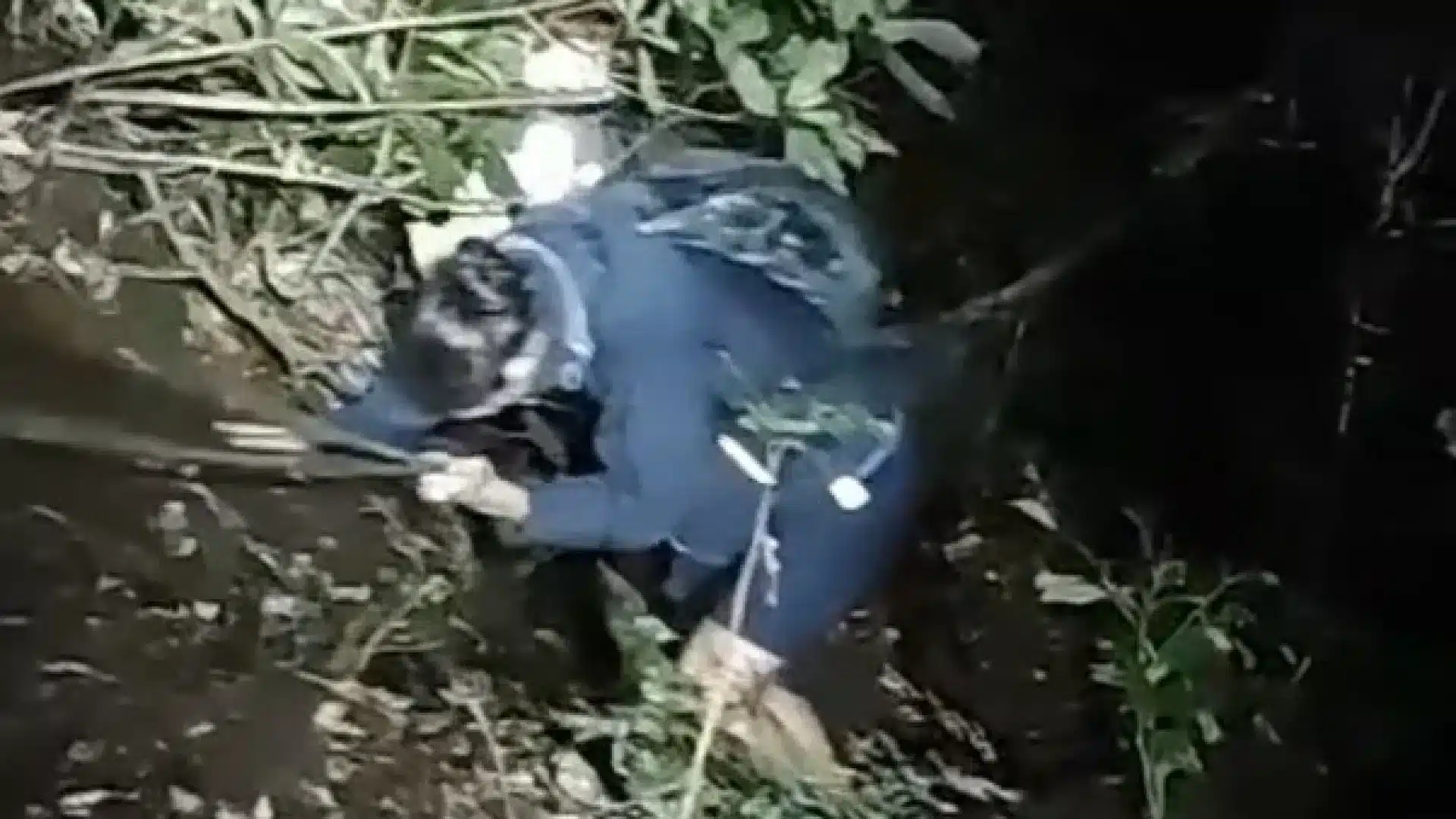 PSP sauve un couple de touristes argentins perdu dans les montagnes de Madère.