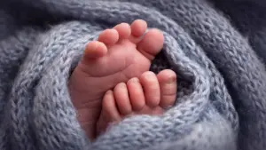 Réseau néonatal en consultation publique propose trois niveaux et soins différenciés