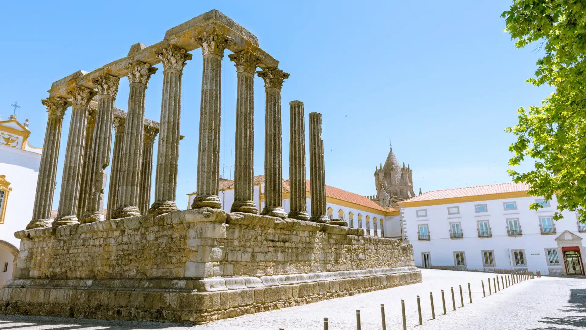 Sans soutien quadriennal renouvelé, Cendrev promet une nouvelle candidature en 2026.