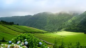 Séisme de magnitude 2,0 sur l'échelle de Richter ressenti sur l'île de Terceira.