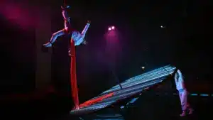 Spectacle "Liberdade Liberdade" rappelle le passé pour penser le présent