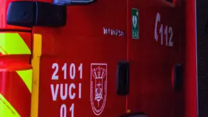 Un arbre est tombé sur deux voitures dans la paroisse lisboète de Ajuda.