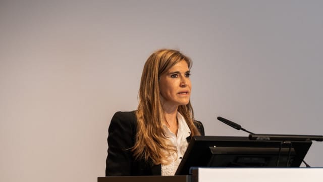 Un groupe de dauphins aperçu au large de Póvoa de Varzim. Il y a une vidéo.