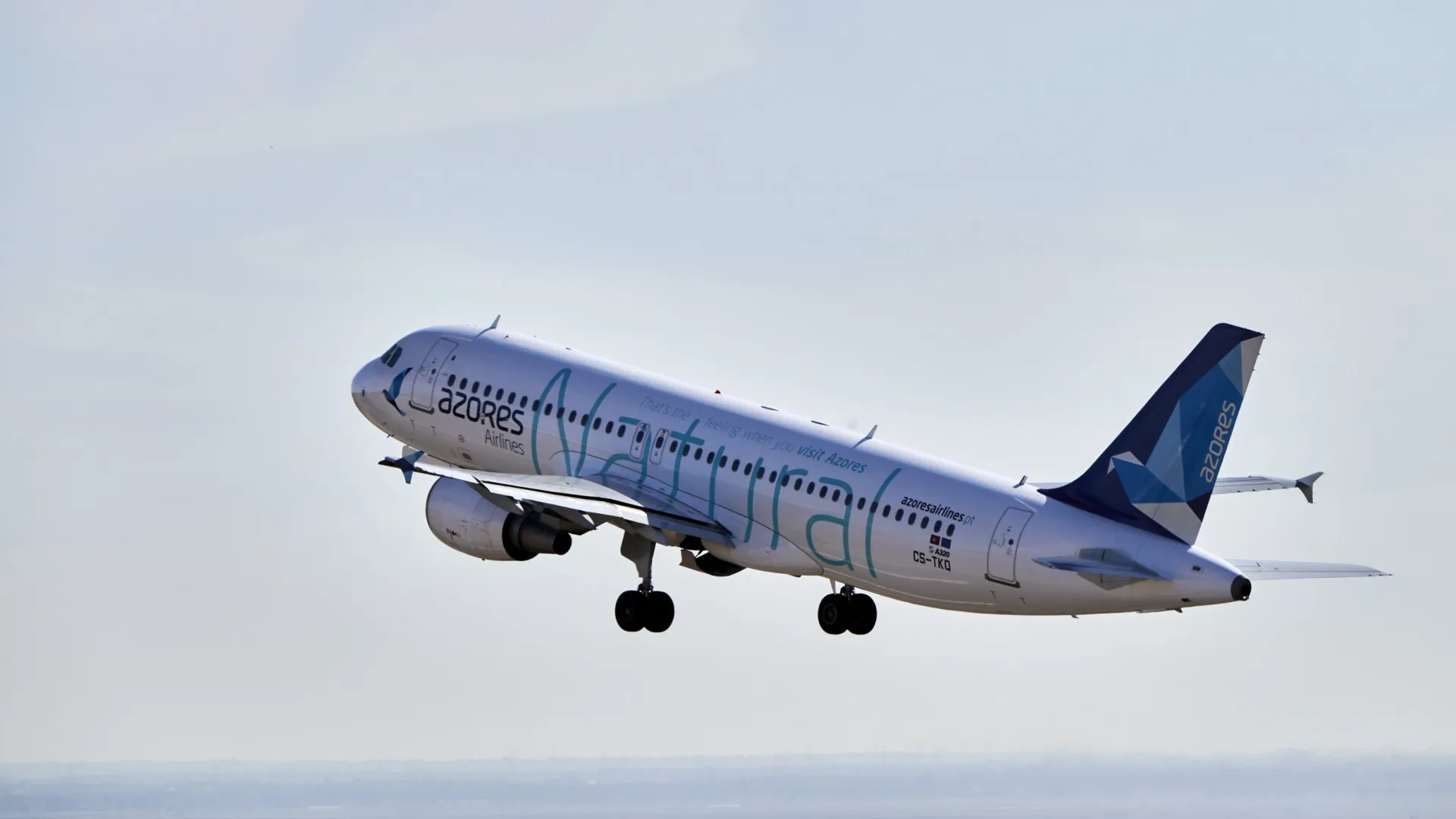 Un groupe de quatre entrepreneurs soumet une proposition pour acheter Azores Airlines.