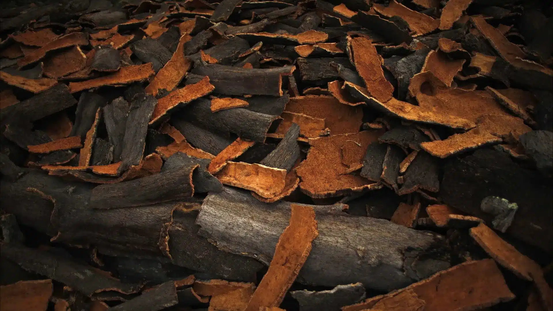 Une femme mise en examen pour soupçons de vol de près de 400 kilos de liège à Mora.