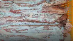 563 kilos de viande saisis pour "graves irrégularités" à Faro