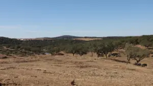 Alentejo et Madère en dessous de la croissance réelle du PIB enregistrée en 2024