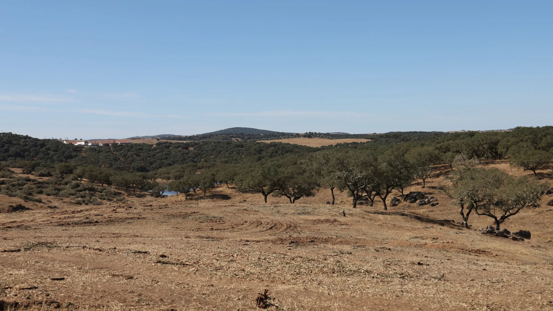 Alentejo et Madère en dessous de la croissance réelle du PIB enregistrée en 2024