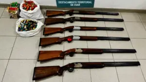 Armes saisies à un suspect d'avoir agressé sa compagne à Estarreja.