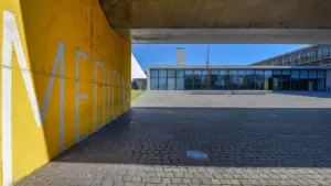 Des étudiants exclus du concours de médecine à Porto font appel de la décision judiciaire.