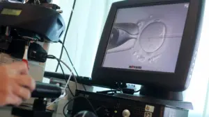 Deux sur trois premières consultations pour insémination dépassent le délai maximum.