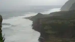 Éboulements sur les routes à Flores et chute d'arbre à São Miguel
