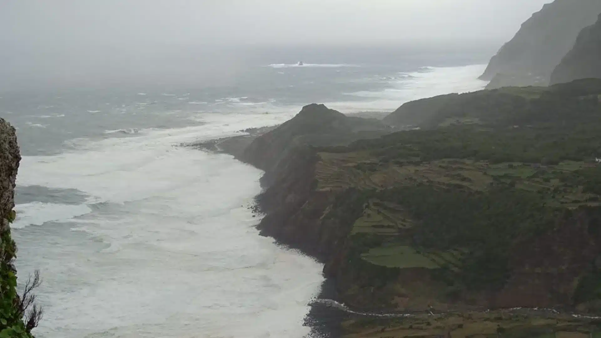 Éboulements sur les routes à Flores et chute d'arbre à São Miguel