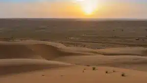 Équipe dirigée par un chercheur de l'UAlg pionnière en découverte dans le désert.