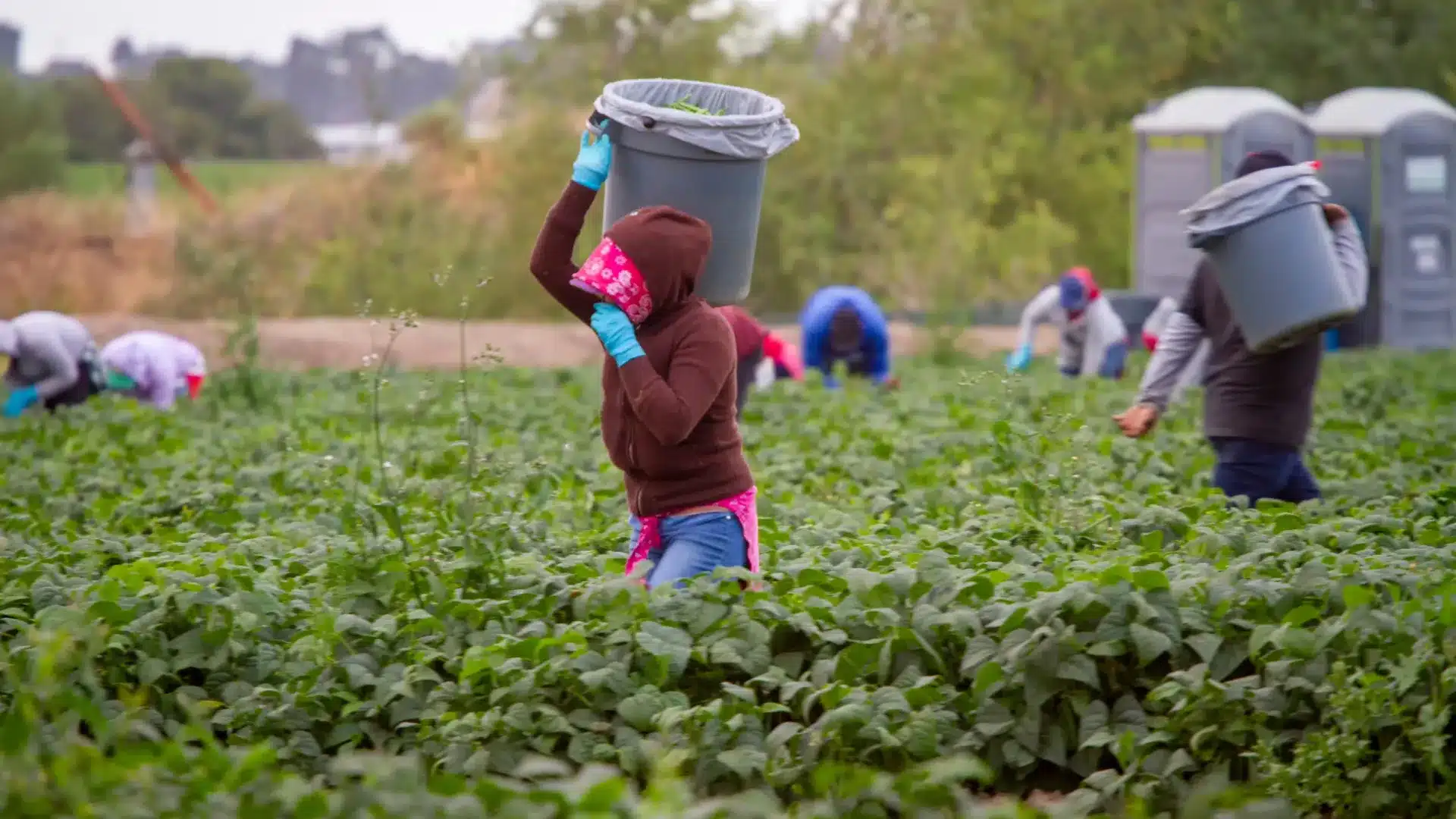 "Esclavage des temps modernes". GNR et PSP exploraient : Que se passera-t-il ?