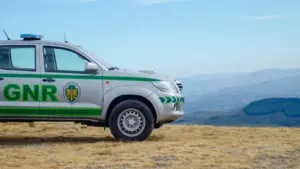 GNR arrête huit hommes pour vol d'olives à Reguengos de Monsaraz