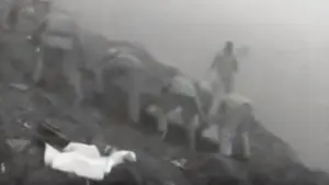 Il y a 26 ans, les Açores se réveillaient avec un cauchemar. Un crash d'avion a tué 35 personnes.