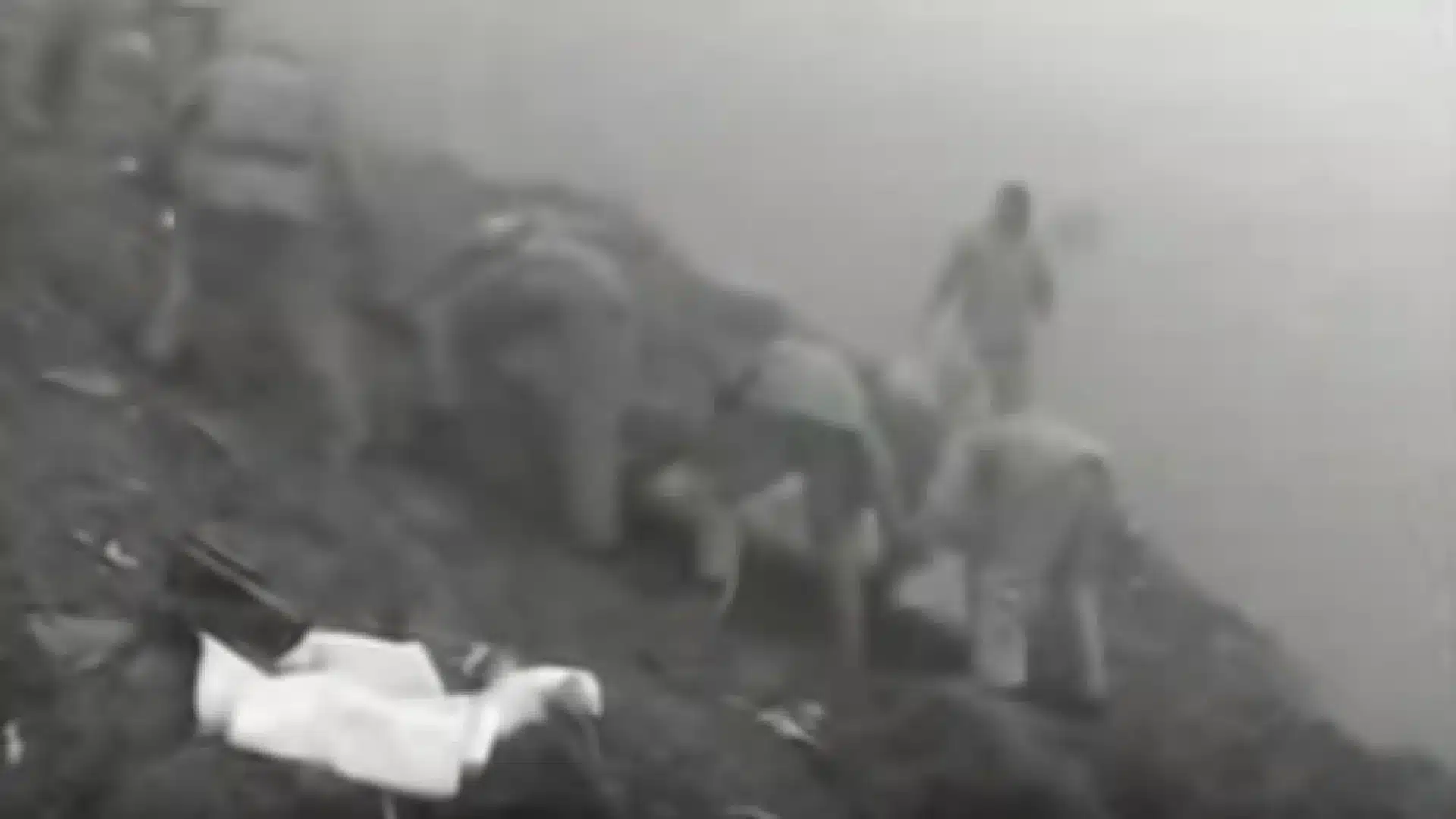 Il y a 26 ans, les Açores se réveillaient avec un cauchemar. Un crash d'avion a tué 35 personnes.