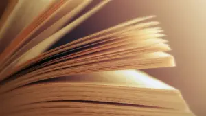 João Pimenta et Ana Mafalda Lopes parmi les lauréats de l'Académie de l'Histoire