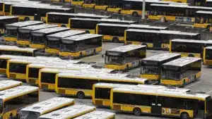 La Chambre municipale de Lisbonne approuve Rui Lopo pour présider la Carris sous des critiques.