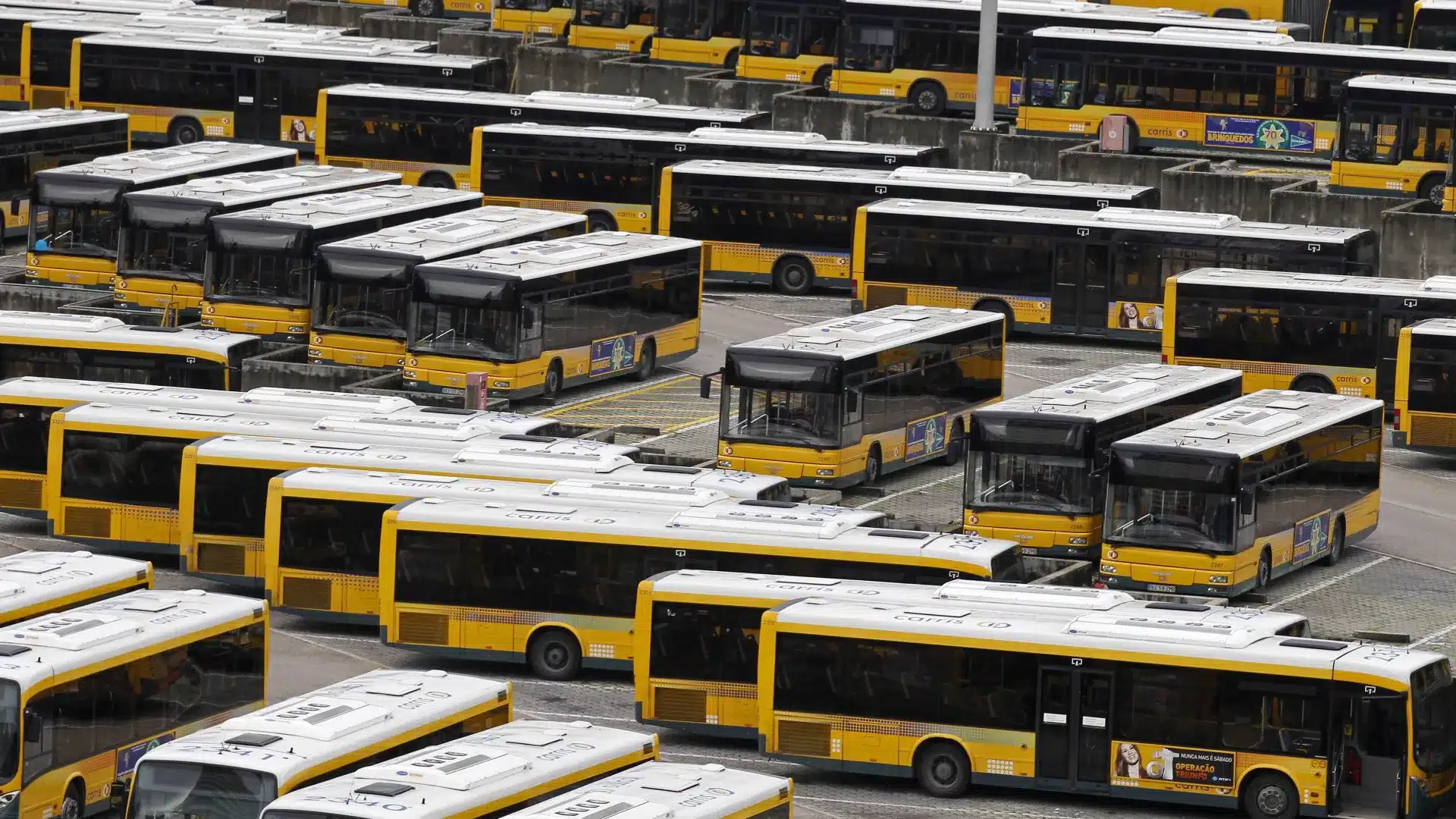 La Chambre municipale de Lisbonne approuve Rui Lopo pour présider la Carris sous des critiques.