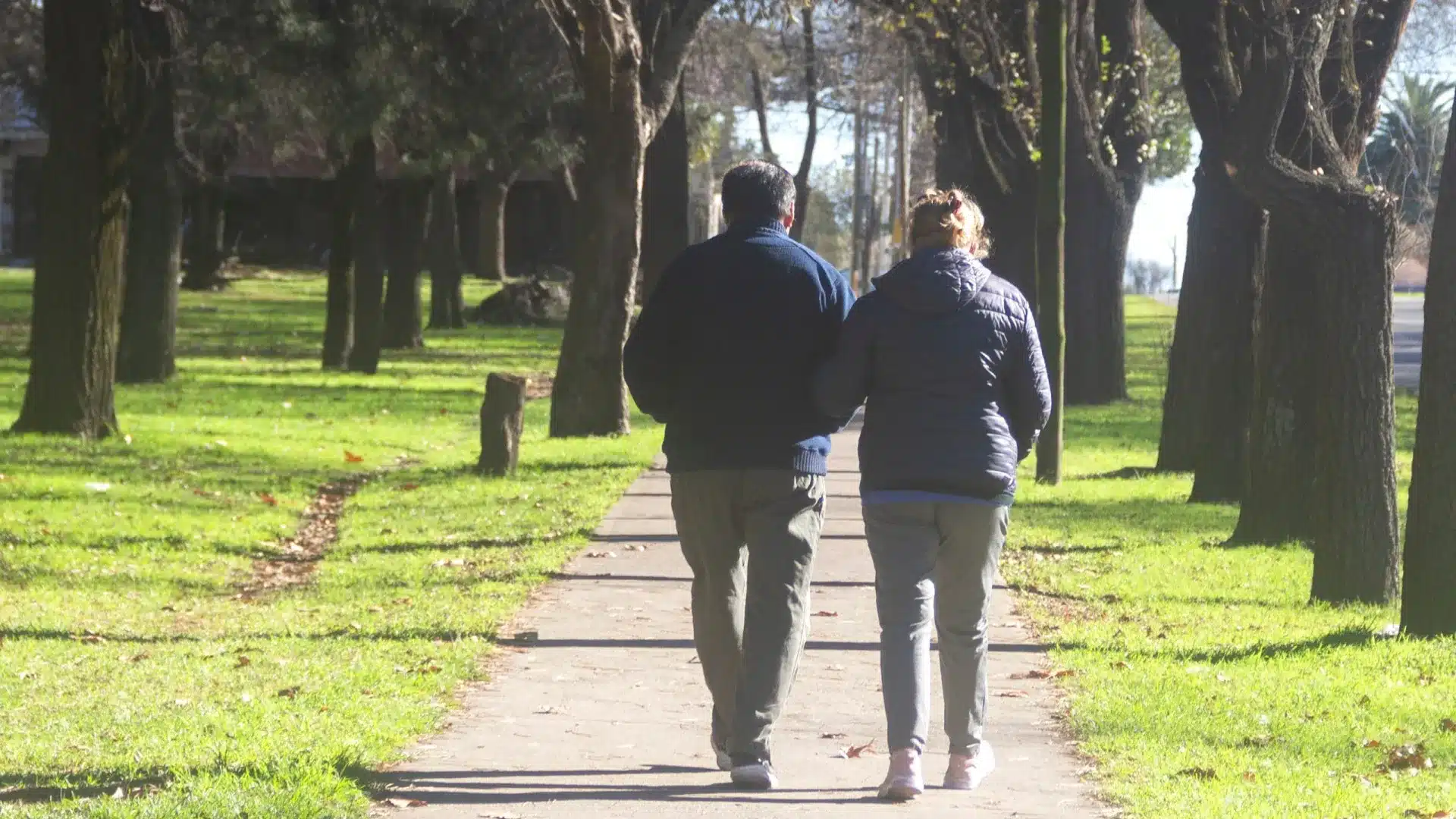 La mairie de Lisbonne maintient la gratuité des passes pour les plus de 65 ans.