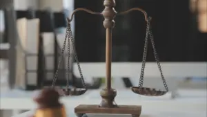 "L'avocat dit: 'Le MP a fait de Paulo Malafaia le diable en personne'"