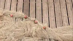 Le Conseil européen approuve l'accord de pêche entre l'UE et le Royaume-Uni pour l'année.