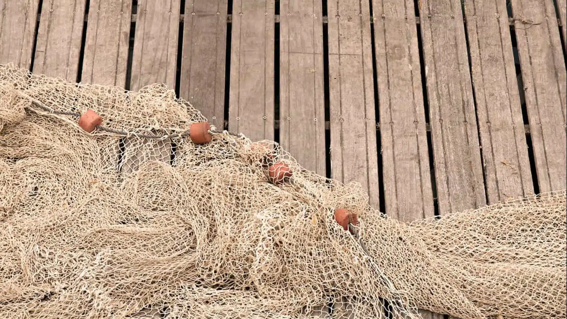 Le Conseil européen approuve l'accord de pêche entre l'UE et le Royaume-Uni pour l'année.