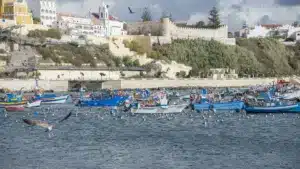Le gouvernement lance des études pour la désalinisation de l'eau de mer à Sines.