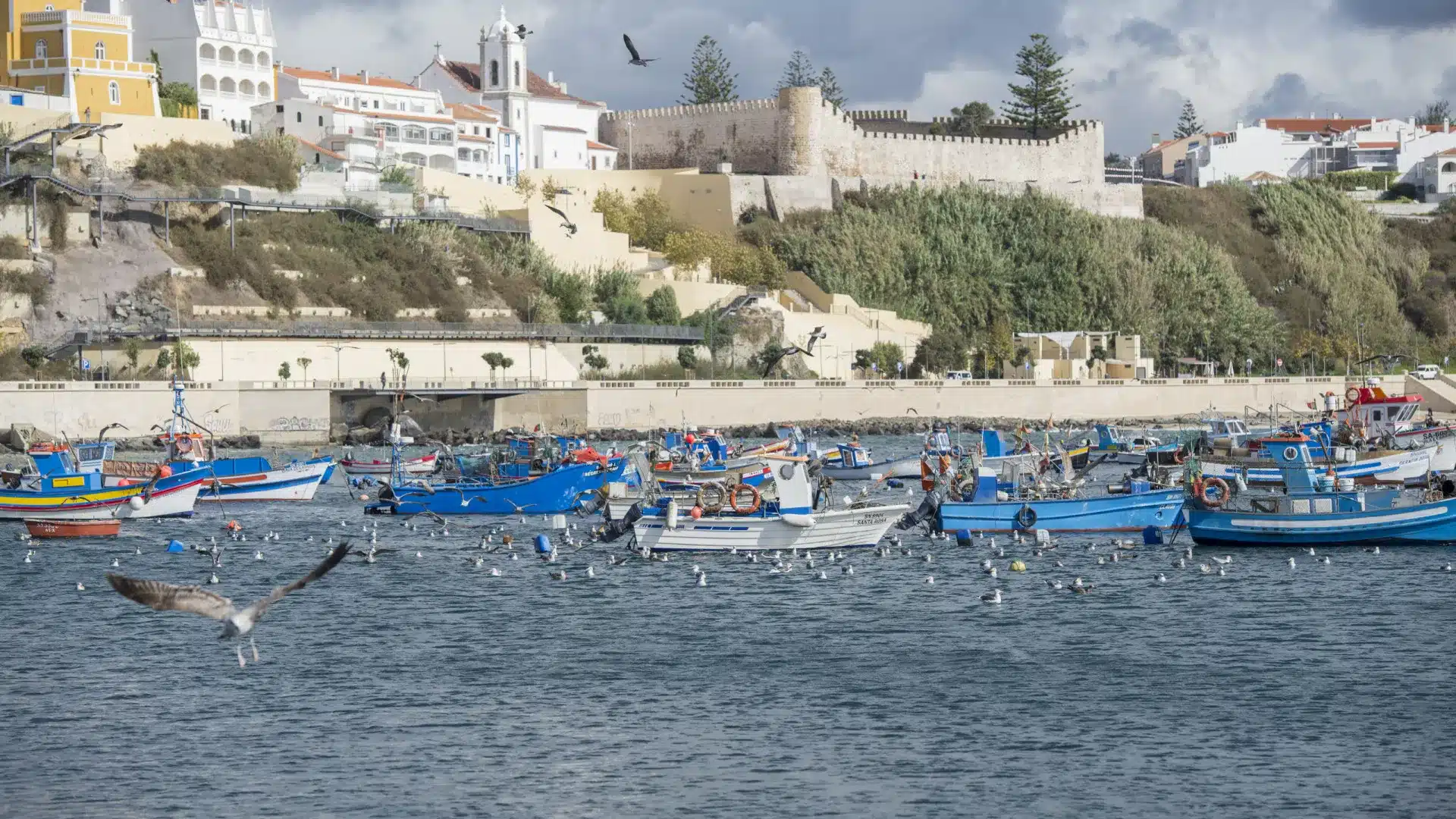 Le gouvernement lance des études pour la désalinisation de l'eau de mer à Sines.