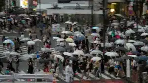 Le Japon enregistre un excédent de la balance courante de 15,665 millions en octobre.