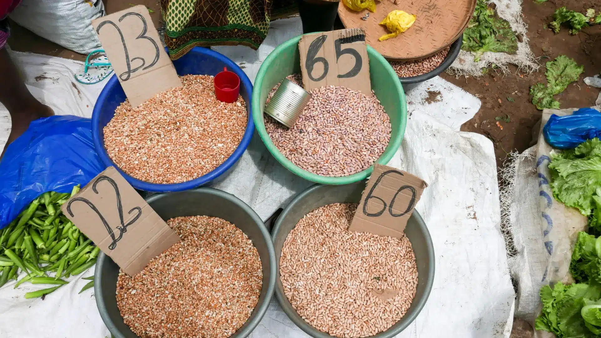 Le manque de financement provoque des "lacunes significatives" dans le soutien au Mozambique.