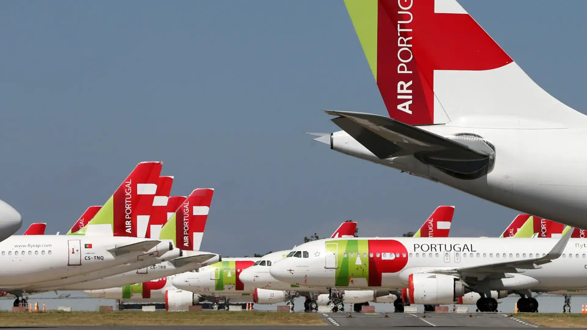 Le tribunal rejette le recours de Ryanair. TAP était "éligible" à l'aide.