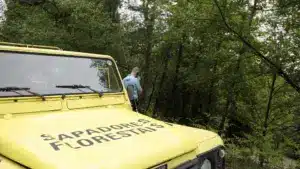 Les sapeurs forestiers veulent intégrer une carrière pour mettre fin aux "différentes vitesses".