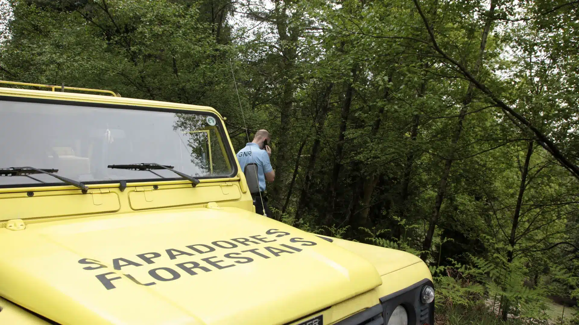 Les sapeurs forestiers veulent intégrer une carrière pour mettre fin aux "différentes vitesses".