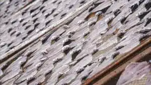 L'UE et le Royaume-Uni s'entendent sur les droits de pêche pour 2026.