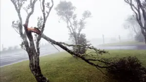 Mauvais temps provoque 11 incidents sur trois îles des Açores
