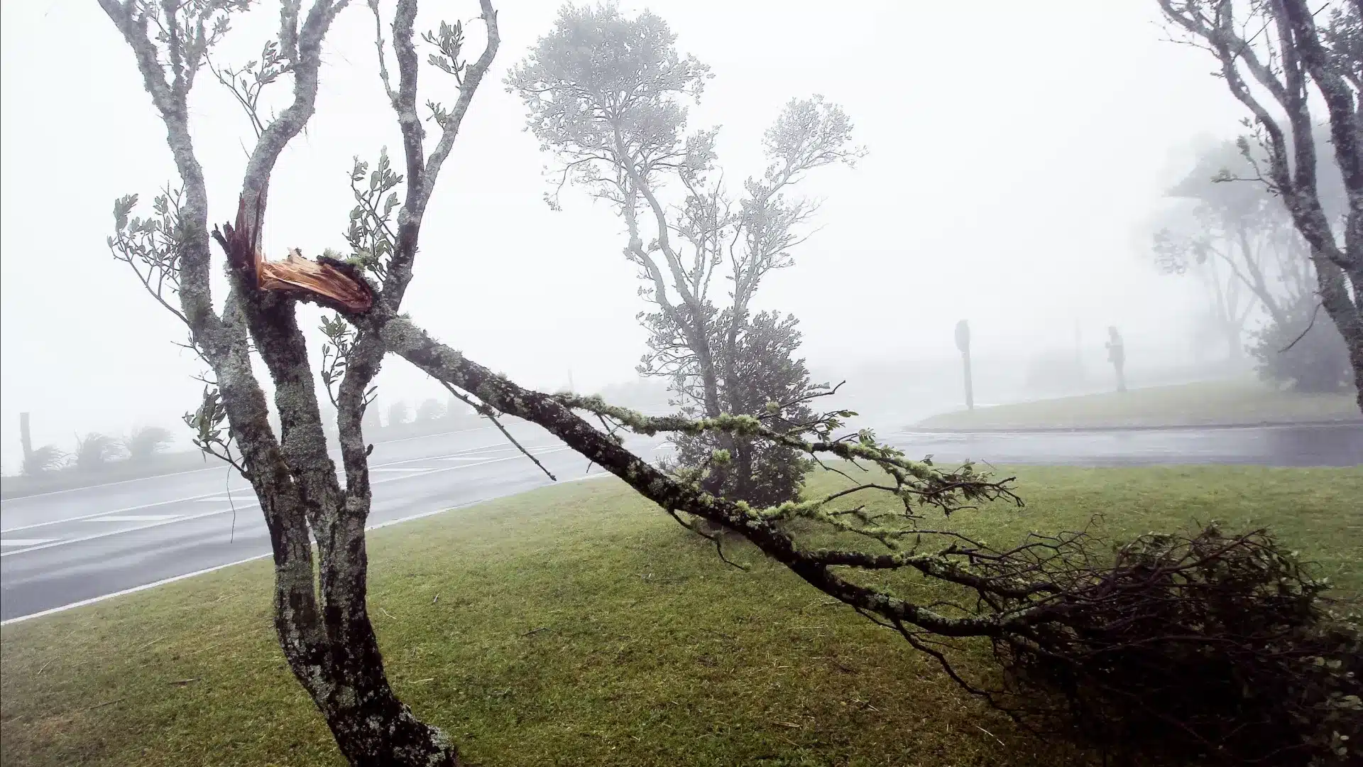 Mauvais temps provoque 11 incidents sur trois îles des Açores