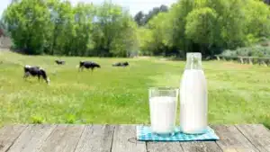Moins trois centimes sur le prix du lait au producteur ? Aprolep préoccupée